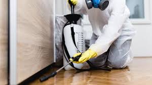 Reliable San Marcos, CA Pest Control Solutions